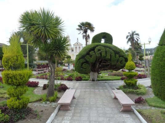 08 Park v Guane