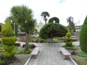 08 Park v Guane
