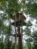31 Treehouse