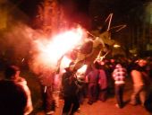12 La vaca loca v akcii