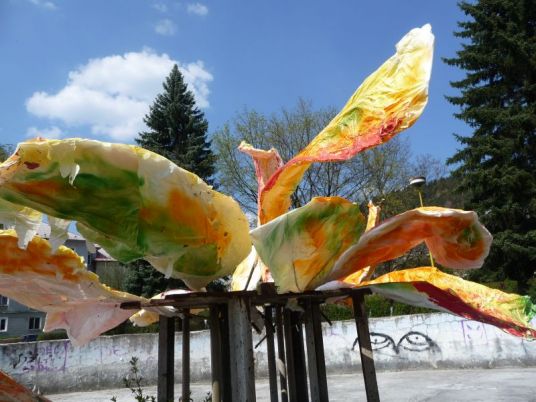 Dívajú sa mravce...