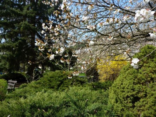 Park pri nemocnici...