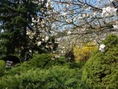 Park pri nemocnici...
