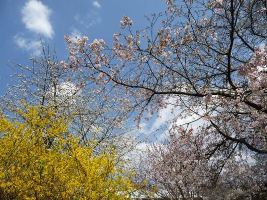 ...na jar. Chceme ho tam!